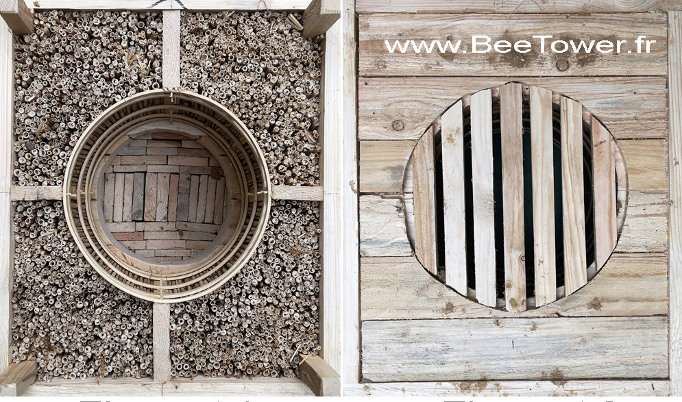 tour des abeilles construction